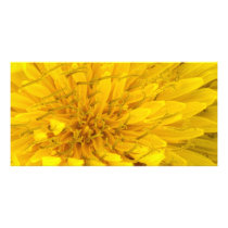 Flower - Dandelion Photo Card Template