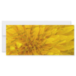 Flower - Dandelion rack cards