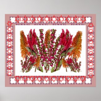 FLOWER Decorations : Boronia Lipstick Poker Torch Poster