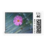 Flower design stamp stamps