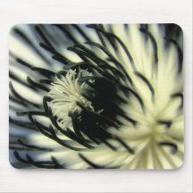 Flower detail mousepad