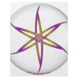 FLOWER DISC flyers