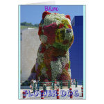 Flower dog cards
