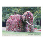 Flower elephant postcards