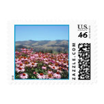 Flower Field in Santa Cruz Postage postage