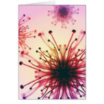 Flower Fireworks Card