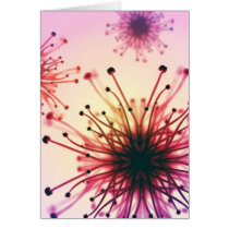 Flower Fireworks