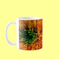 Flower Fireworks Coffee Mug