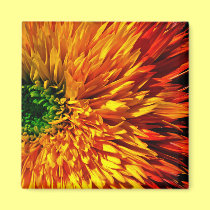 Flower Fireworks Magnet
