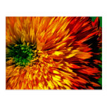 Flower Fireworks Postcard