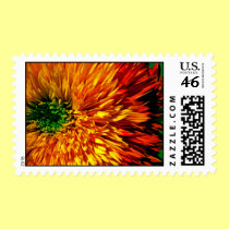 Flower Fireworks Stamp stamps