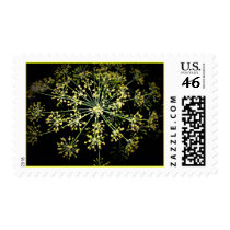 Flower Fireworks Stamps #1