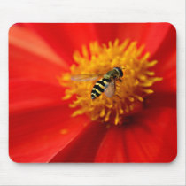 Flower Fly mousepads by novaideo Flower Fly mousepads