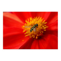 Flower Fly posters by novaideo Flower Fly posters