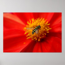 Flower Fly Print