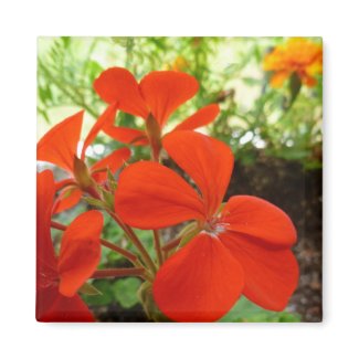 Flower garden box magnet magnet