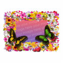 Flower Garden Frame 4X6 photo sculptures
