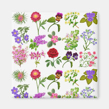 Flower Garden Magnet