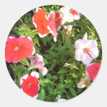 Flower Garden of Colors CricketDiane Florals Stickers