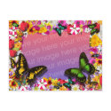 Flower Garden postcards by christigmc Flower Garden postcards