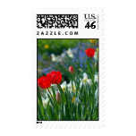 Flower Garden Stamp
