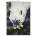 "Flower Girl" cards by paintonmypaws "Flower Girl" cards