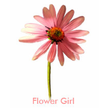 Flower Girl Purple Cone Flower Echinacea purpurea t-shirts