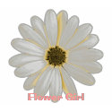 Flower Girl T-Shirt by dfscom Flower Girl T-Shirt