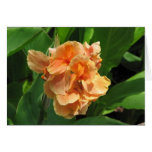 Flower Greeting Card