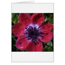 flower cards