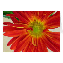 Flower Greeting Card Customizable cards