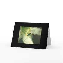 Flower Greeting Cards