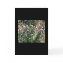 Flower Greeting Cards
