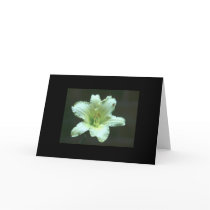 Flower Greeting Cards