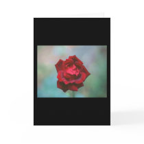 Flower Greeting Cards