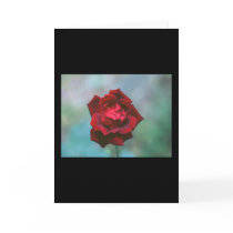 Flower Greeting Cards