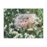 Flower hamster postcards Flower hamster postcards