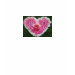 Ladies Baby Doll (Fitted)