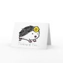 flower hedgehog, Thinking of You... cards