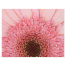 Flower - I LOVE Pink Full Color Flyer