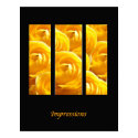 Flower-Impressions III posters by photomorgana Flower-Impressions III posters
