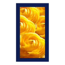 Flower-Impressions V posters