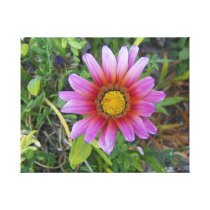 Flower in Bournemouth Gardens Gallery Wrap Canvas