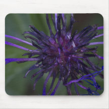 flower-in-chaos-2012-05-14 mousepads