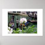 Flower in Front of Gondola Posters