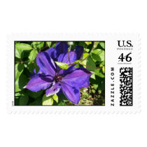 flower in garden postage