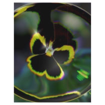flower in raindrop flyers