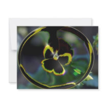 flower in raindrop invitations by jram36 flower in raindrop invitations