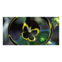 flower in raindrop photo cards by jram36 flower in raindrop photo cards