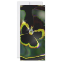 flower in raindrop rack cards by jram36 flower in raindrop rack cards